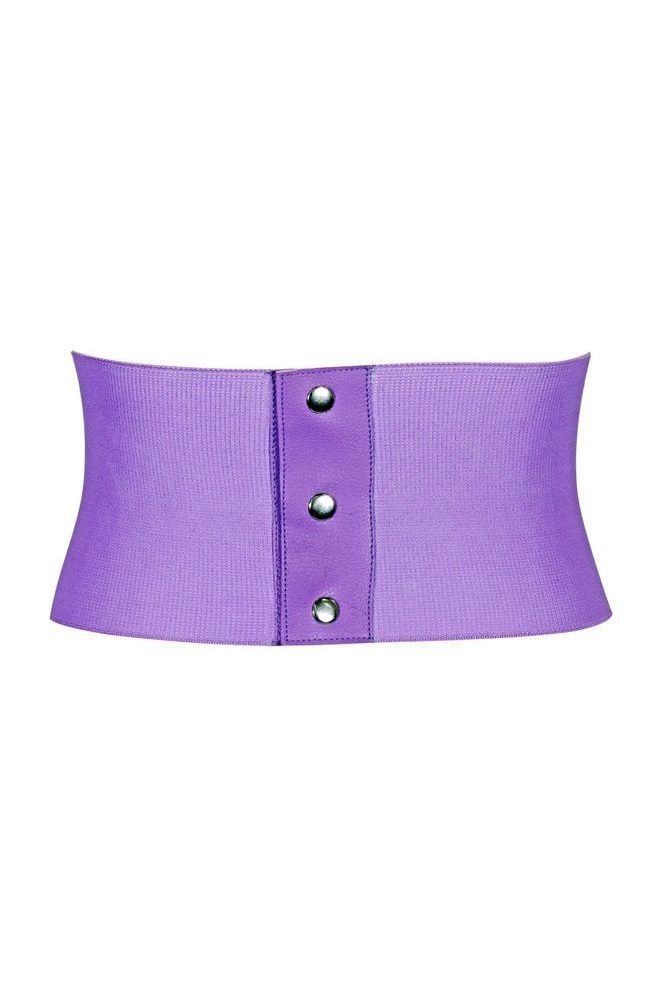 Lavish Lavender Brocade Corset Belt Cincher - Daisy Corsets