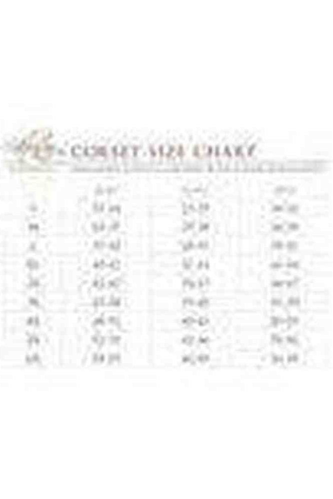 Lavish Sheer Lace Underwire Corset - Daisy Corsets